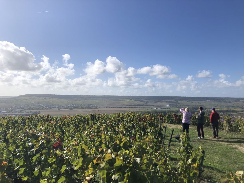 Paris: Private Day Trip to Champagne with 8 Tastings & Lunch - The guides make or break the day