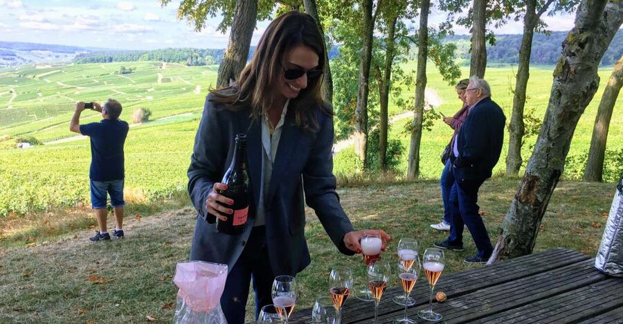 Paris: Private Day Trip to Champagne with 8 Tastings & Lunch - The drive from Paris to the vineyards
