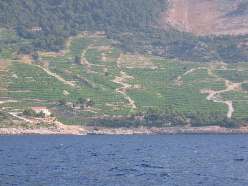 Peljesac Peninsula & Korcula Island Day-Trip from Dubrovnik - Korcula Old Town, Marco Polo, and the bell tower