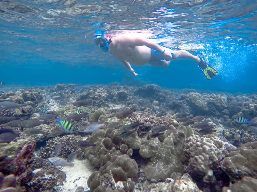 Phi Phi & Bamboo Islands: Premium Day Trip w/ Seaview Lunch - A fast start from Phuket to Bamboo Island