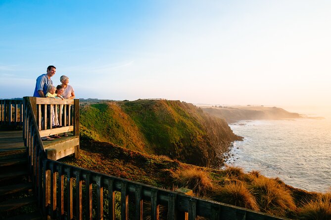 Phillip Island Penguin and Koala Highlights Day-Trip from Melbourne - Key points at a glance
