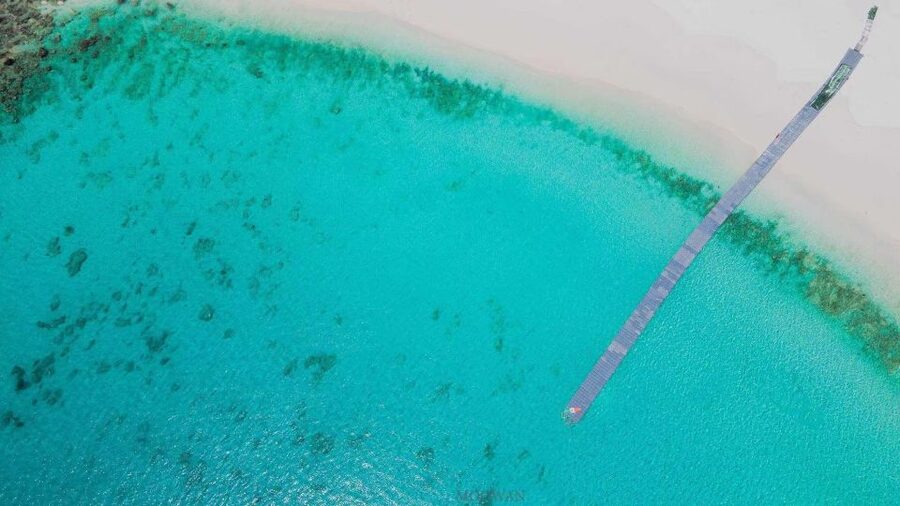 Phuket: Coral & Racha Islands Day Trip By Speedboat - Who will enjoy this island day