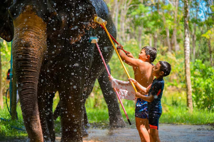 Phuket: Lily Elephant Half day Trip on the Beach with lunch - Who will enjoy this Phuket elephant experience