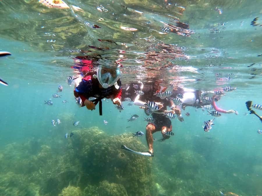 Phuket: Maya Bay, Phi Phi, Green, and Khai Islands Day Trip - The morning starts with a van and a pier wait