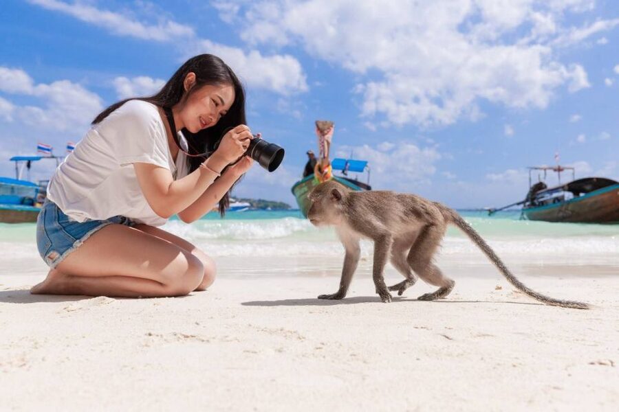 Phuket: Phi Phi Islands and Maya Bay Day Trip with Lunch - Who should book this tour