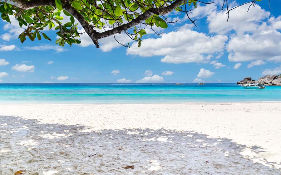 Phuket: Similan day full day trip by speedboat - Key points to know before booking