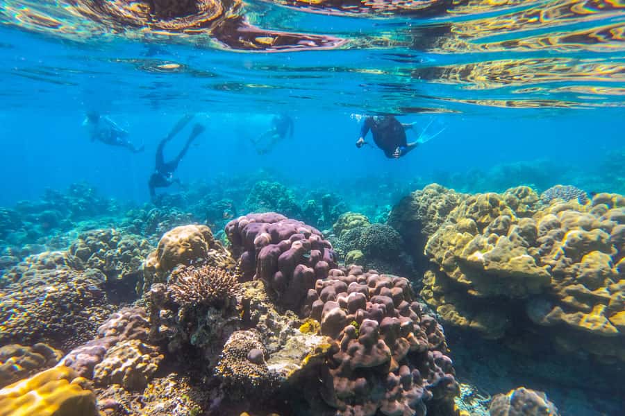 Phuket: Similan day full day trip by speedboat - Why the Similan Islands make this a special day trip