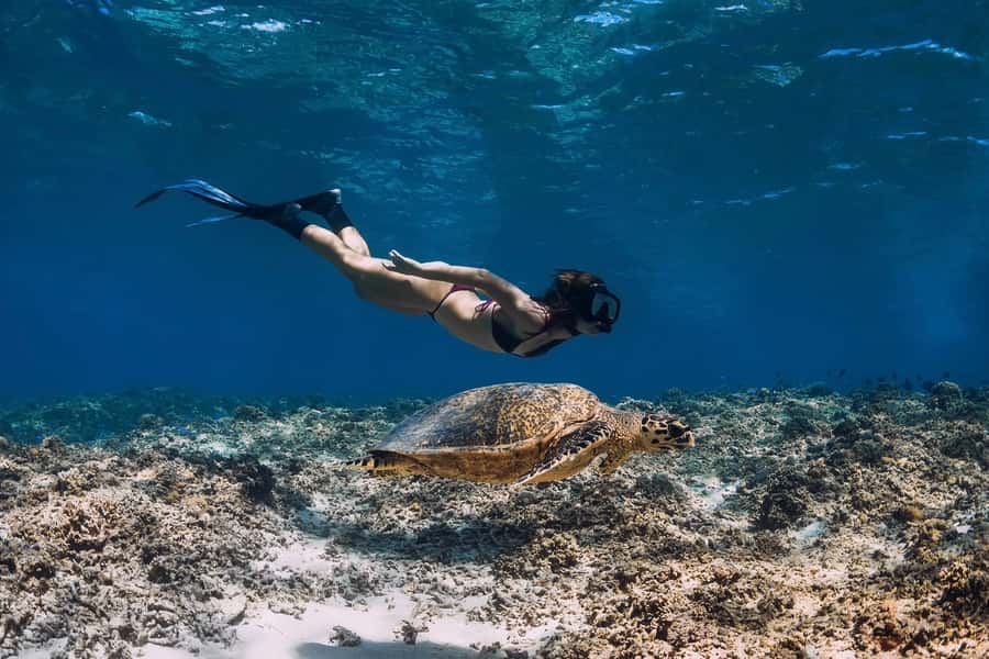 Phuket: Similan day full day trip by speedboat - Ko Miang, the first island stop