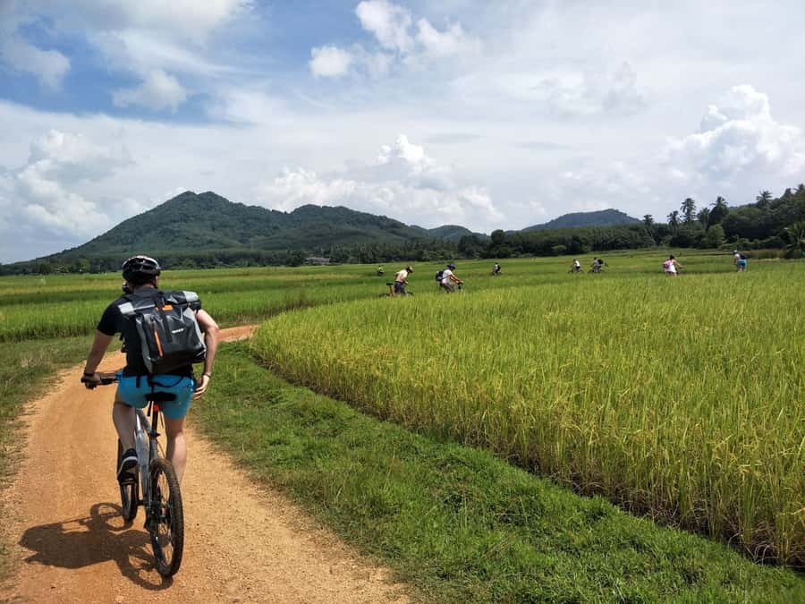 Phuket: Yao Island Cycling and Beach Day-Trip - Why Koh Yao Noi makes a better cycling day than another Phuket beach stop