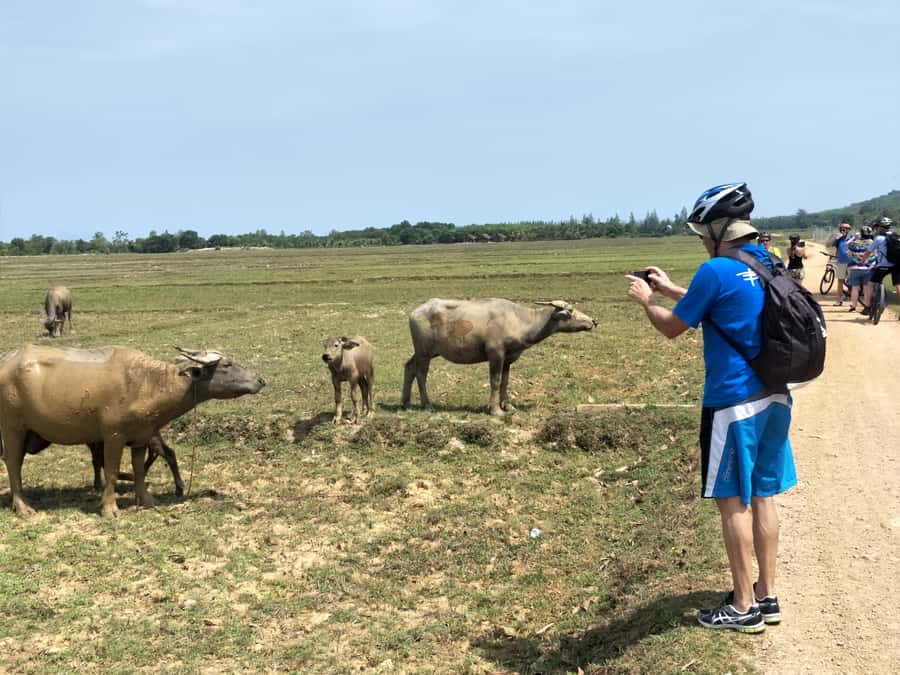 Phuket: Yao Island Cycling and Beach Day-Trip - The café break keeps the pace friendly