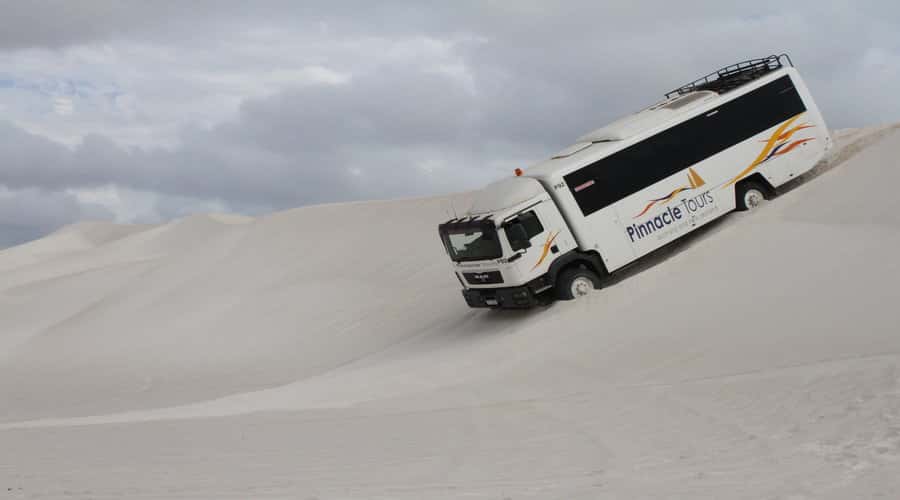 Pinnacles, Koalas, 4WD & Sandboarding Tour from Perth - Why this Perth day trip works
