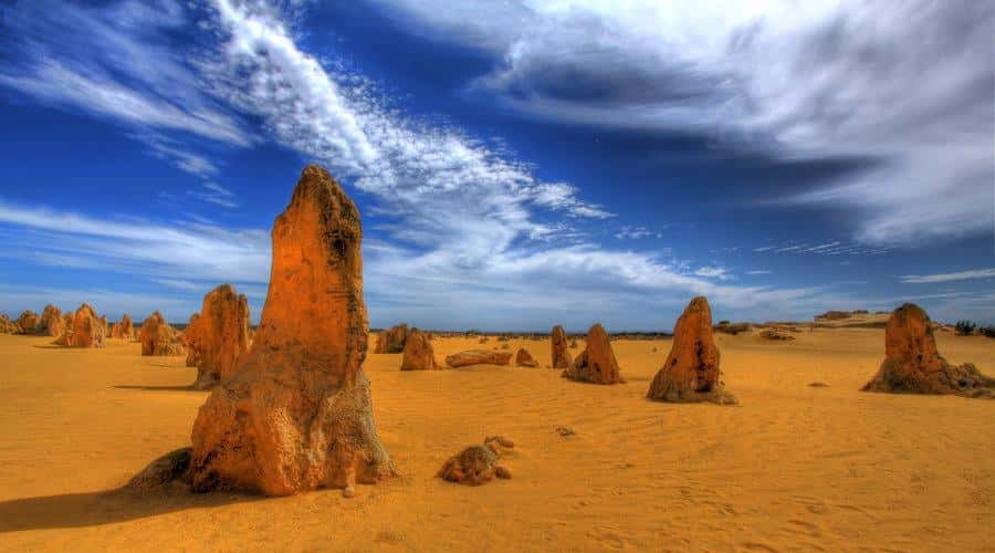 Pinnacles, Koalas, 4WD & Sandboarding Tour from Perth - Caversham Wildlife Park: the friendliest first stop