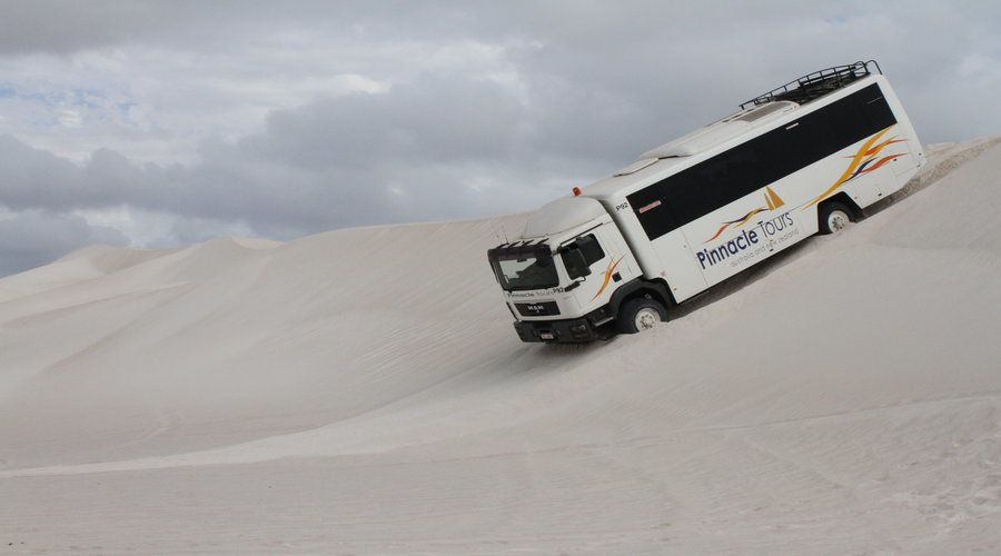 Pinnacles, Koalas, 4WD & Sandboarding Tour from Perth - Sandboarding is the day’s big finish