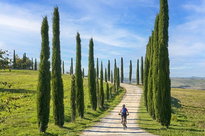 Pisa, Siena and San Gimignano Day Trip with Lunch & Wine Pairing - San Gimignano, Tuscany’s tower town
