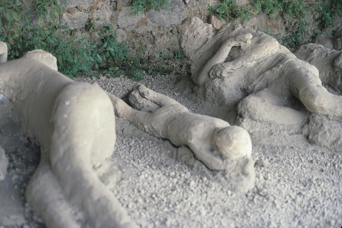 Pompeii and Mount Vesuvius Day Trip from Rome with Pizza Lunch - Ercolano lunch and the Bay of Naples