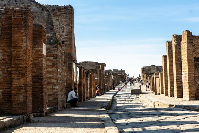 Pompeii & Mt.Vesuvius Day Tour from Naples with Pizza Lunch - Why this day trip works in Naples