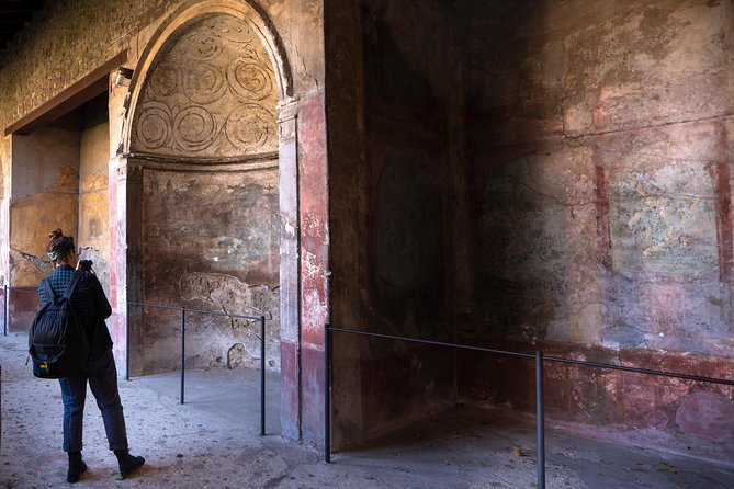 Pompeii & Mt.Vesuvius Day Tour from Naples with Pizza Lunch - Timing issues for cruise passengers
