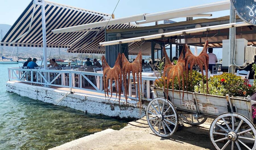 Poros Island: Full Day Trip From Athens with Swimming - Who will enjoy this Poros day trip?