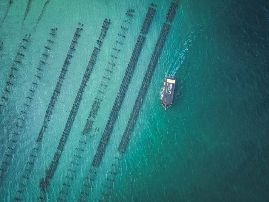 Port Lincoln: Coffin Bay Seafood, Wine, and Nature Day Trip - Is the three-hour oyster upgrade worth $95?