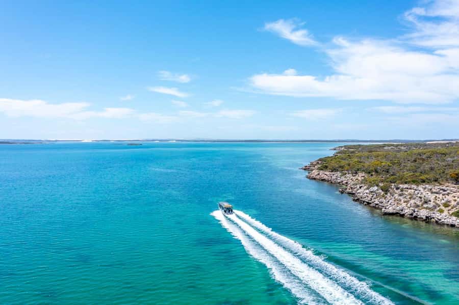 Port Lincoln: Coffin Bay Seafood, Wine, and Nature Day Trip - Seafood lunch at Oyster HQ
