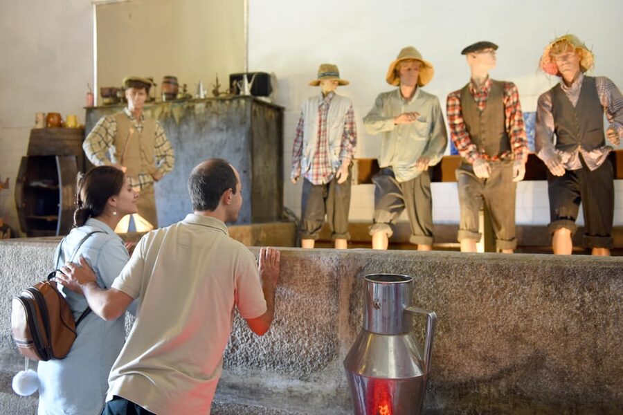 Porto: Douro Valley Day Trip with Lunch and Favaios Village - Guide quality and language are worth checking