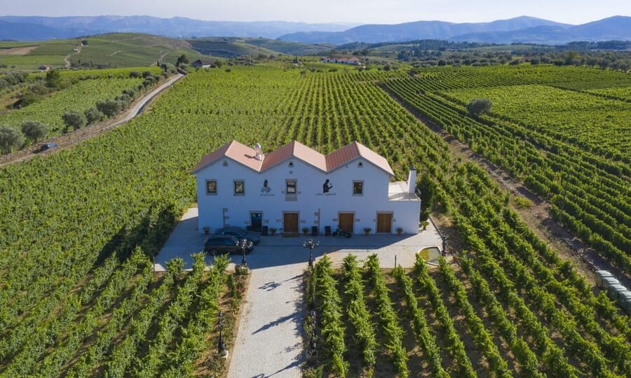 Porto: Douro Valley Day Trip with Lunch and Favaios Village - Casal de Loivos and the Douro from above
