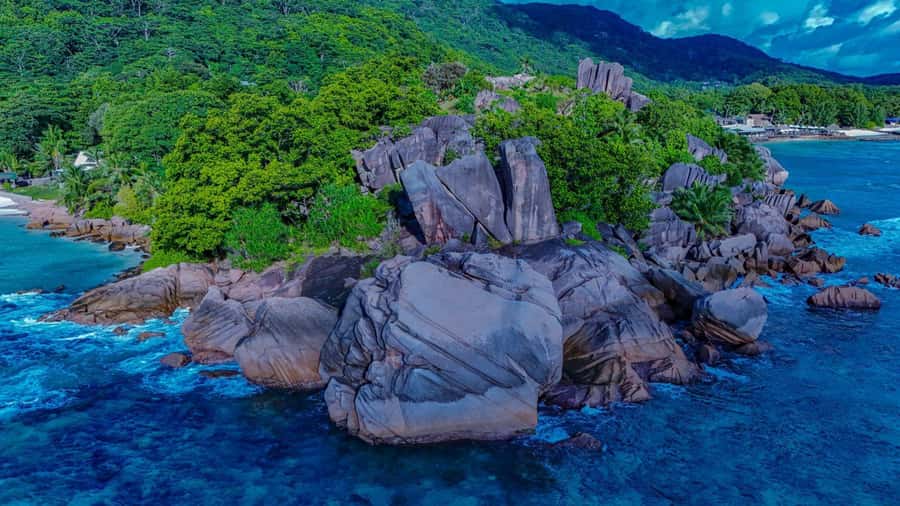 Praslin: Curieuse & St Pierre Island Day Trip with Barbecue - The mangrove trail and the walk to the tortoises