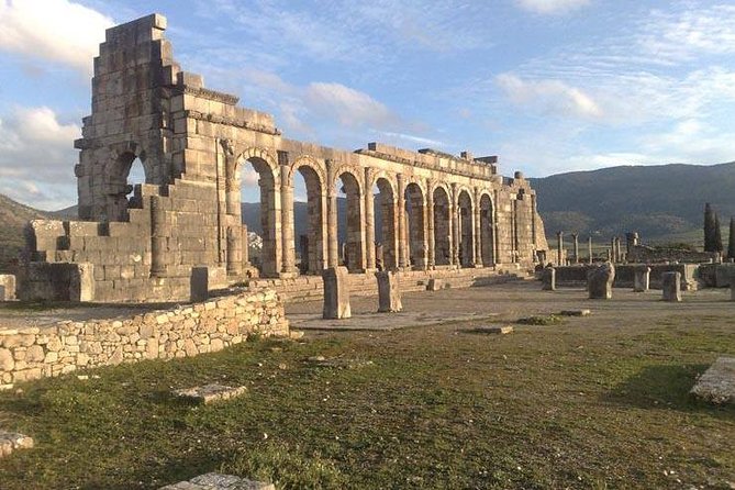 private Day trip from Fez to Volubilis and Meknes (without shopping) - Walking among the mosaics of Volubilis