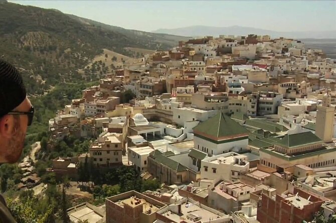 private Day trip from Fez to Volubilis and Meknes (without shopping) - What Meknes adds to the day