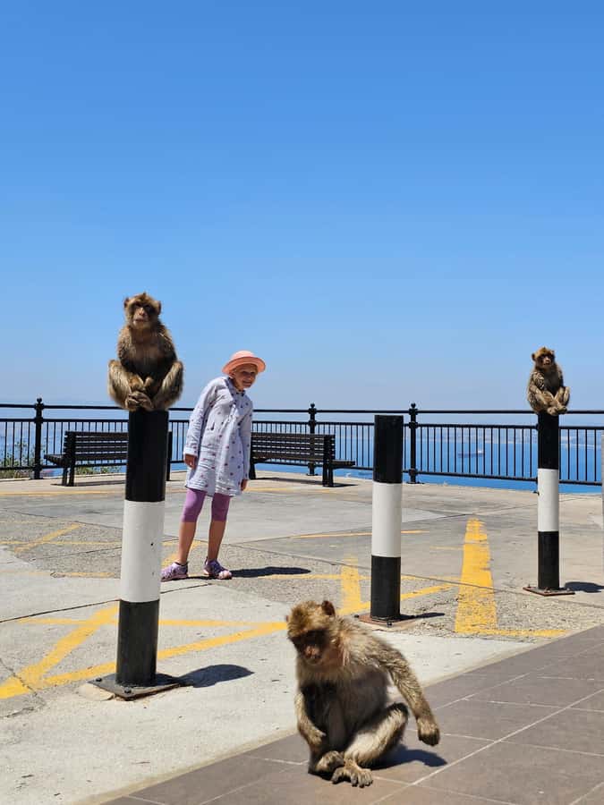 Private Day Trip: Gibraltar & (Tangier) Morocco from Seville - Five hours in Tangier