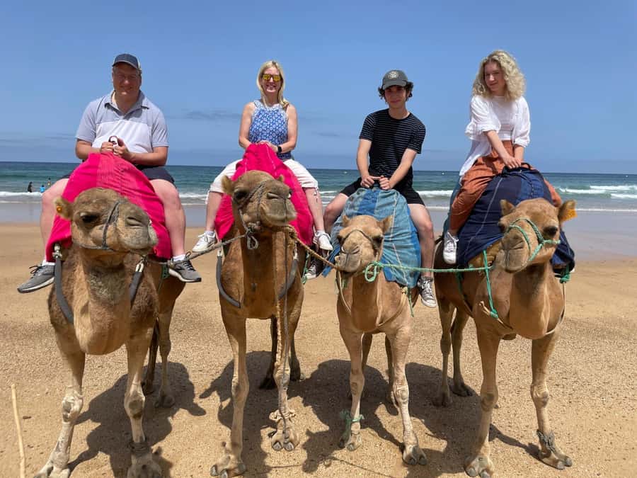 Private Day Trip: Gibraltar & (Tangier) Morocco from Seville - Lunch is not included