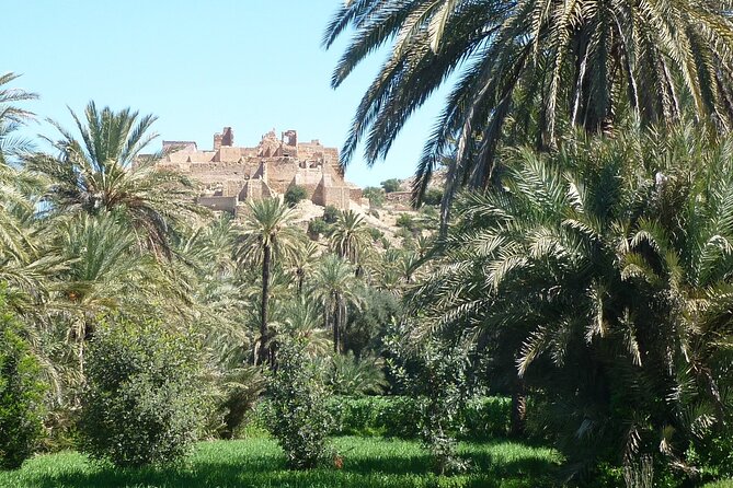 Private Day Trip of Taroudant & Tiout from Agadir - Assarag Square and the pace of old Taroudant