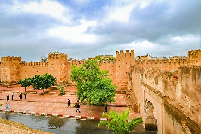 Private Day Trip of Taroudant & Tiout from Agadir - Walking beneath more than 20,000 date palms