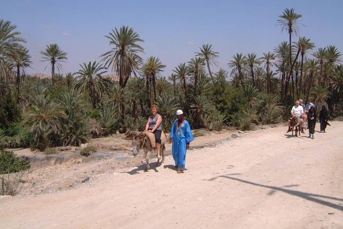 Private Day Trip of Taroudant & Tiout from Agadir - Who will enjoy this day most