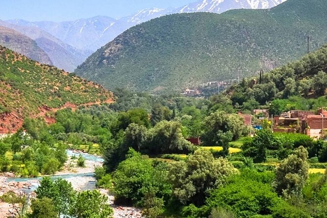Private Day Trip to Atlas Mountains - A Berber lunch in a family home