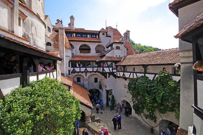 Private Day Trip to Dracula's Castle from Bucharest - Timing, traffic, and walking