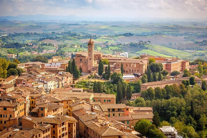 Private day trip to Siena, San Gimignano, Chianti and Pisa, from Florence - What the driver adds to the experience