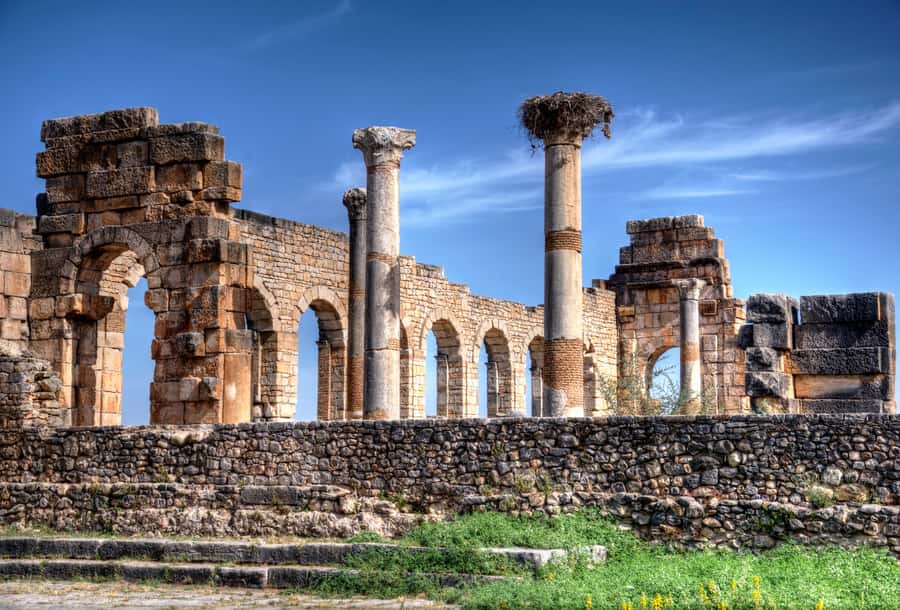 Private Day Trip to Volubilis, Moulay Idriss and Meknes - Who should book this outing?