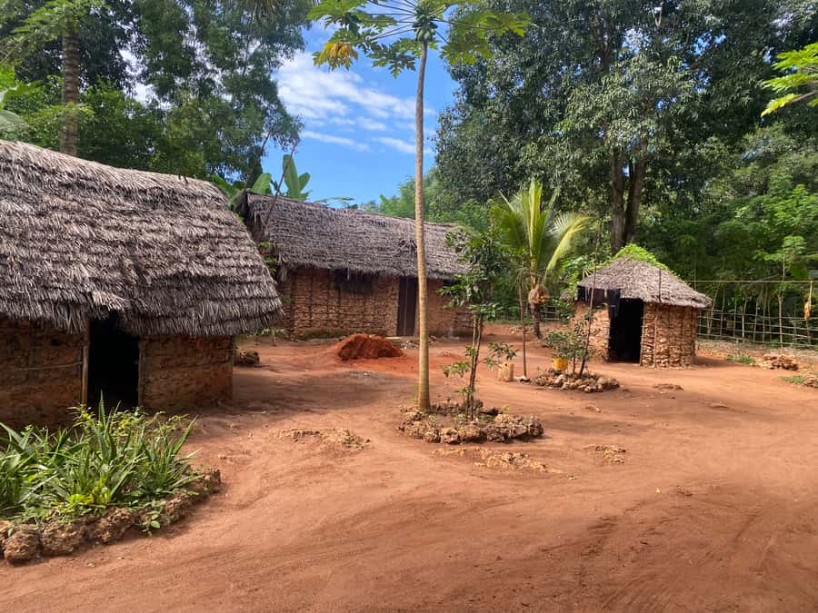 Private Full Day Trip Exploring Zanzibar Nature - Why this day trip feels different from a standard Zanzibar outing