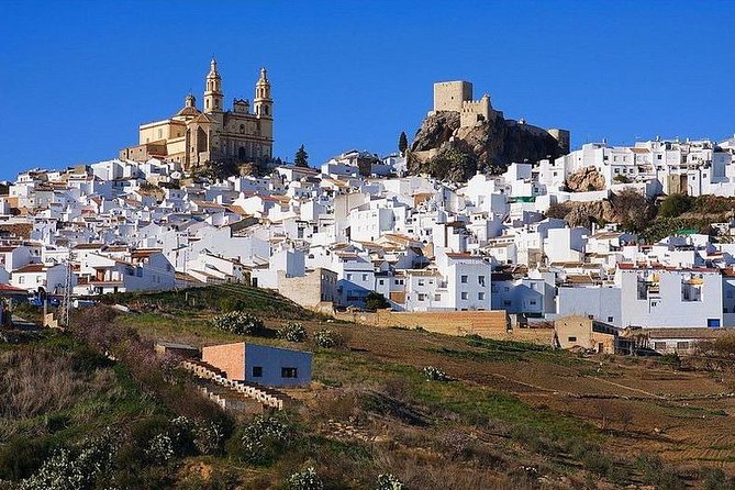 Private Guided Day Trip to the White Villages and Ronda from Seville - Zahara de la Sierra and the Mountain Road