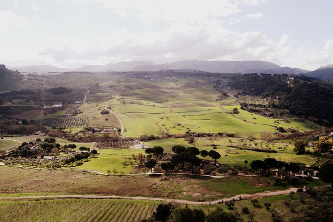 Private Guided Day Trip to the White Villages and Ronda from Seville - What the Guides Add to the Day