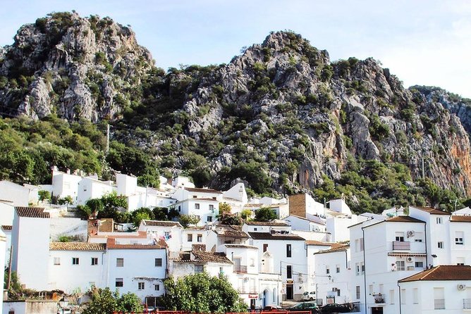 Private Guided Day Trip to the White Villages and Ronda from Seville - Is $360.53 Per Person Good Value?