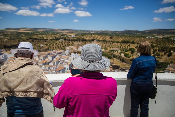 Private Guided Day Trip to the White Villages and Ronda from Seville - Setenil de las Bodegas and Homes Beneath the Rock