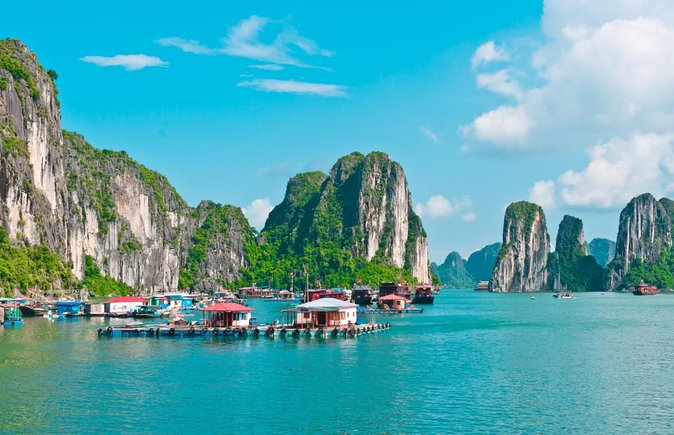 Private Ha Long bay day trip(From Hanoi city or Halong harbour) - Key points to know before you book