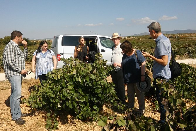 Private Wine Tour with Wine Tasting and Full Lunch (day trip) - Beneath Requena, the old wine caves