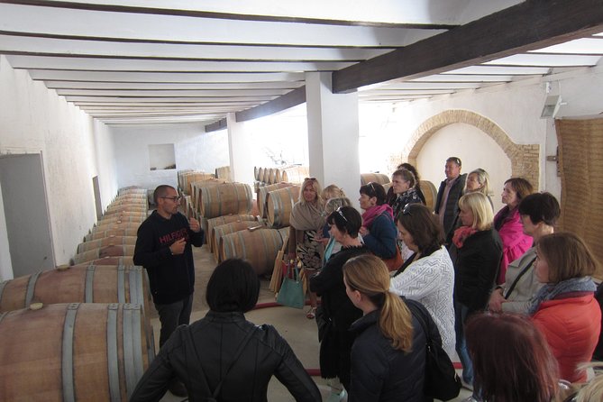 Private Wine Tour with Wine Tasting and Full Lunch (day trip) - The best fit for your Valencia plans