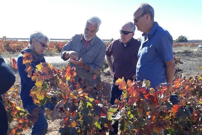 Private Wine Tour with Wine Tasting and Full Lunch (day trip) - Should you book this Requena wine tour?