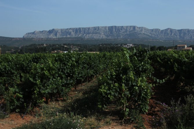 Provence Wineries and Luberon Villages Day Trip from Aix-en-Provence - Why this tour works for seeing Provence in one day