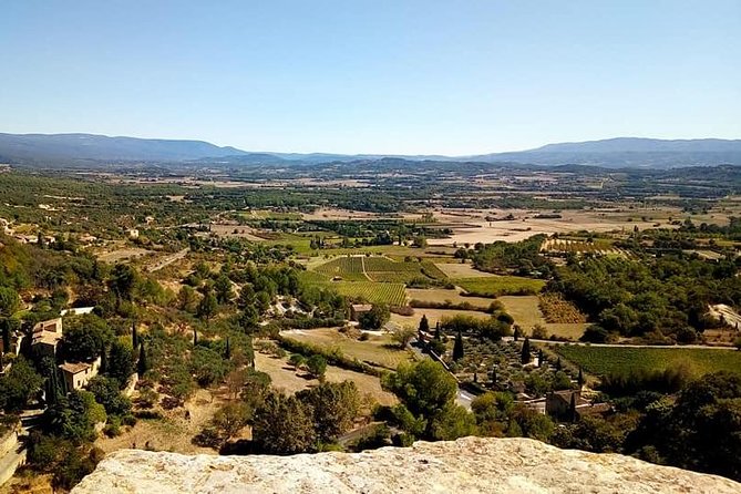 Provence Wineries and Luberon Villages Day Trip from Aix-en-Provence - What the guides add to the day