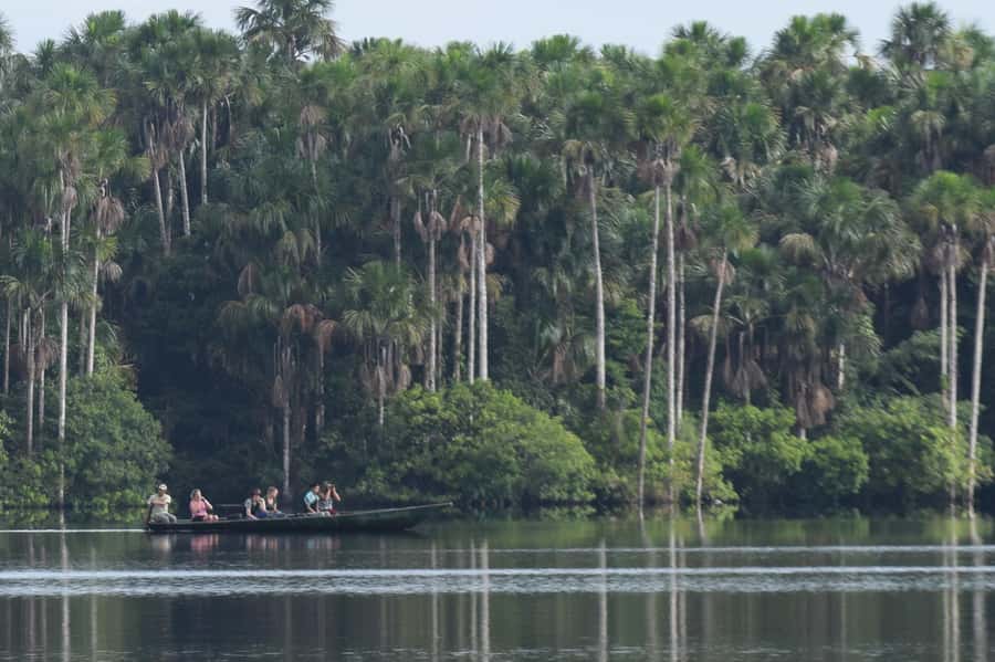 Puerto Maldonado: Sandoval Lake Full-Day Trip with Canoeing - Why Sandoval Lake is worth the effort
